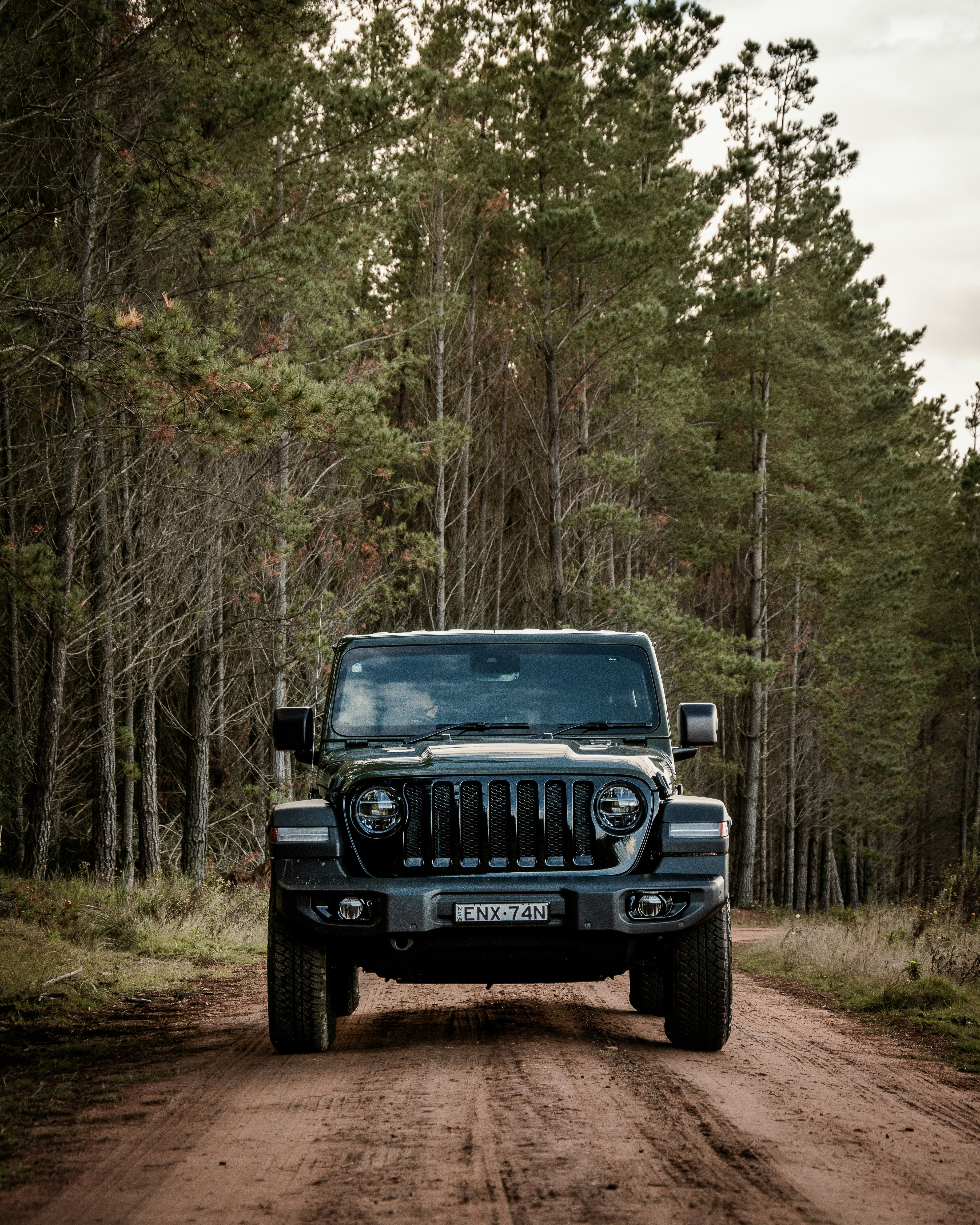 black jeep wrangler on forest during daytime